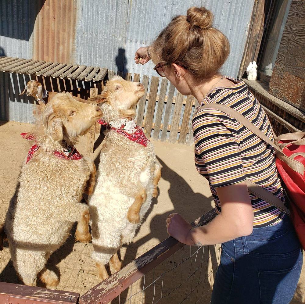 Meet your Posher, Caitlin